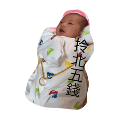 6 寶寶