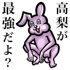 Pink bunny sticker! Takanashi