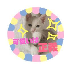 tonton_20190223222527