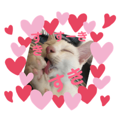 tonton_20190223214141