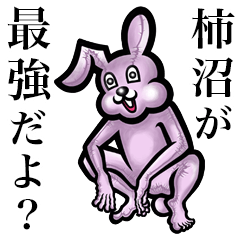 Pink bunny sticker! Kakinuma