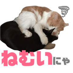 Kina&Azuki stamp 001