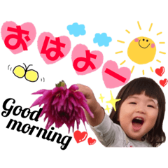 aikiayanechankazokuyou