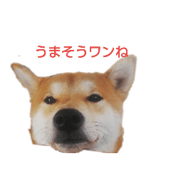 Junko_20190223232923