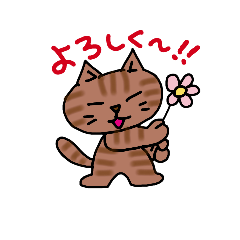 CHBIKO_20190213151246