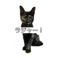 akane_20190224221021