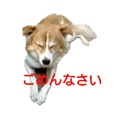 Takashi_20190221105213