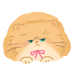 関西のペルシャ猫