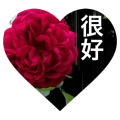 flower 台湾語