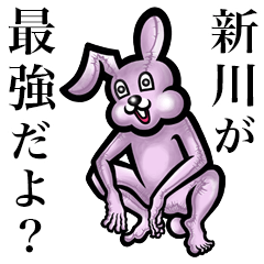 Pink bunny sticker! Shinkawa Niikawa