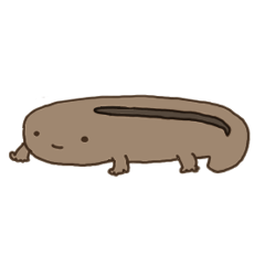 Giant salamander san