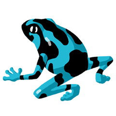 I love frogs! Part 3 Dendrobates auratus