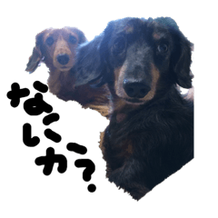 choco and lilo