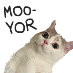 Moo-Yor The Munchkin