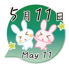 Rabbit May 11