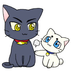 black cat & small white cat