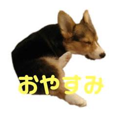 una_20190224165852