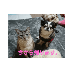 Megumi-no2