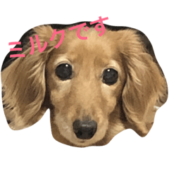 Rika_20190225224104