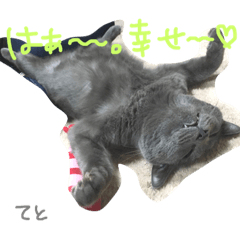 mayu_20190225195851