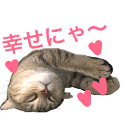 tomomi_20190225231605