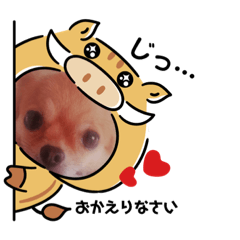 COCOA_214
