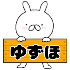 無駄に使える【ゆずほ】専用うさぎ