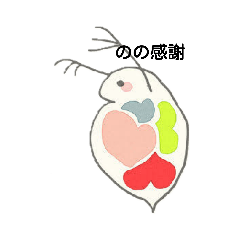 nono_20190225171433