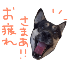 miki_20190225003755