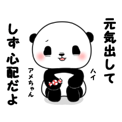 Sizu of panda