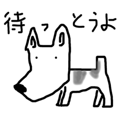 Kobe Wire-haired Fox Terrier