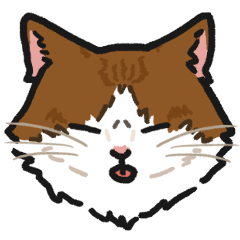 Longhair cat "Chum"