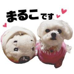 chisato_20190224003321