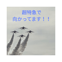 cherry_blossom
