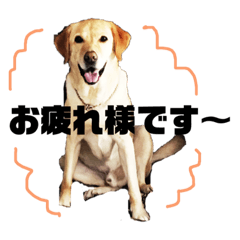 stamp of funny dog hario