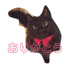 ayano_20190226160643