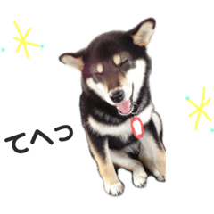 meme_20190226010501