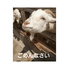 kero_20190226210811