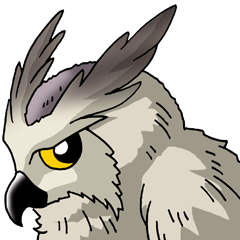 I love Owl! Part 1(Eagle owl)
