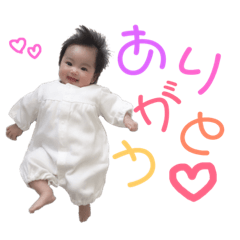 MIDORI_20190226203737