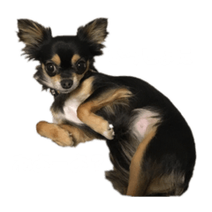 kanako025_20190226214311