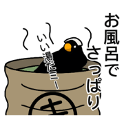 Dark Black Kinka 6