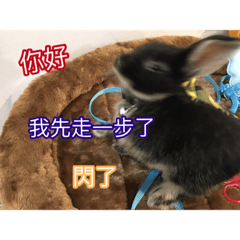 黑嚕の長輩圖