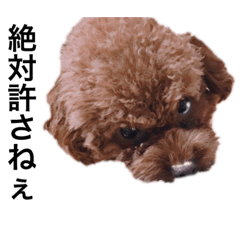 犬多過