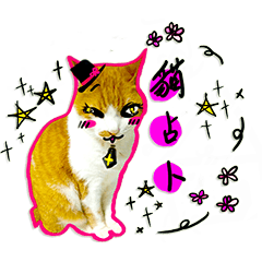 Cheese cat - Cat Divination