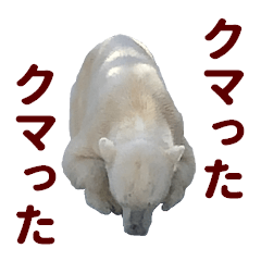 Pun sticker of animal
