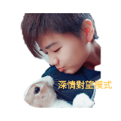 兔與狼