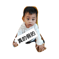 Ling寶貝
