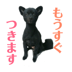 tm_20190227163244