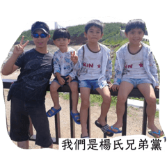 楊氏兄弟黨